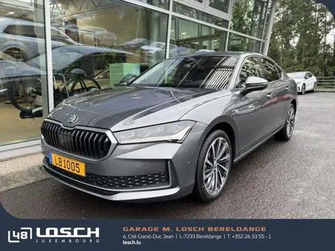 Annonce SKODA SUPERB Diesel 2024 d'occasion 