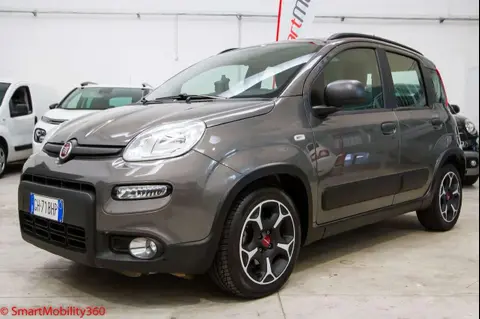 Used FIAT PANDA Hybrid 2021 Ad 