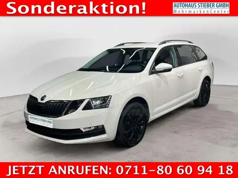 Used SKODA OCTAVIA Petrol 2019 Ad 