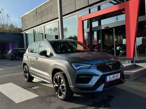 Used CUPRA ATECA Petrol 2024 Ad 