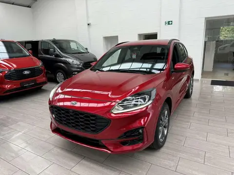 Used FORD KUGA Hybrid 2021 Ad 