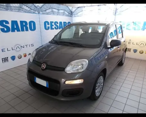 Annonce FIAT PANDA Hybride 2022 d'occasion 