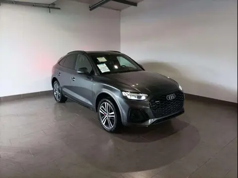 Used AUDI Q5 Hybrid 2024 Ad 