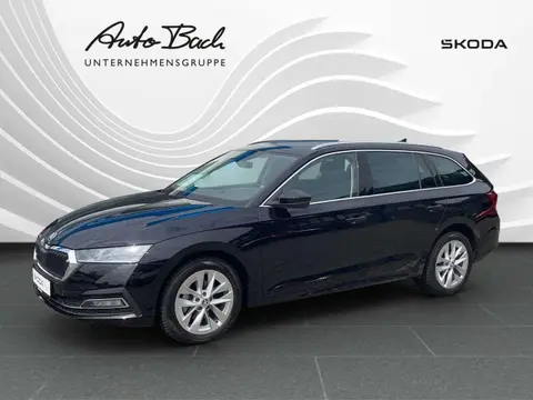 Annonce SKODA OCTAVIA Diesel 2023 d'occasion 