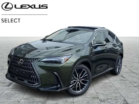 Annonce LEXUS NX Hybride 2024 d'occasion 