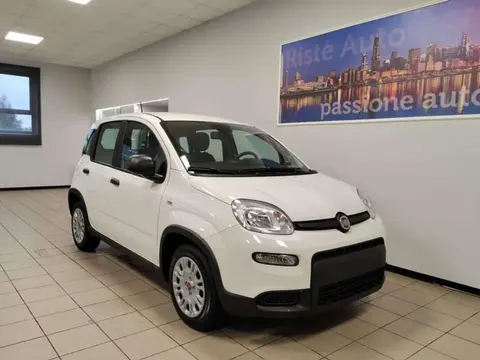 Used FIAT PANDA LPG 2024 Ad 