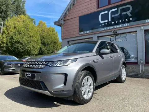 Used LAND ROVER DISCOVERY Hybrid 2020 Ad 