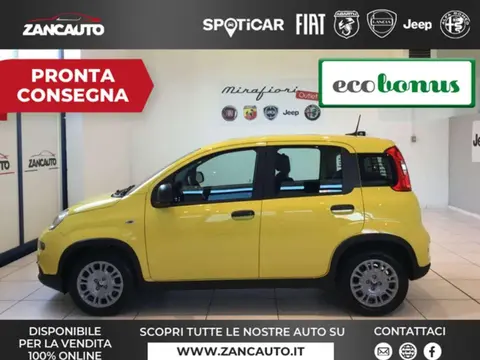 Used FIAT PANDA Hybrid 2024 Ad 