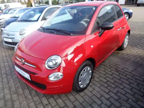 Used FIAT 500 Petrol 2023 Ad 