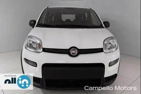 Annonce FIAT PANDA Hybride 2024 d'occasion 