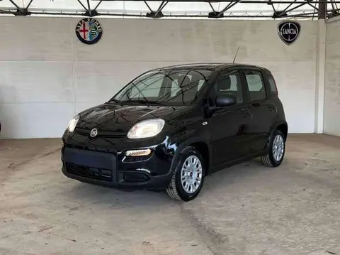 Annonce FIAT PANDA Hybride 2024 d'occasion 