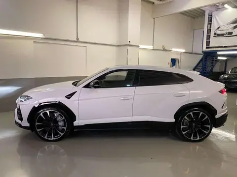 Annonce LAMBORGHINI URUS Essence 2022 d'occasion 