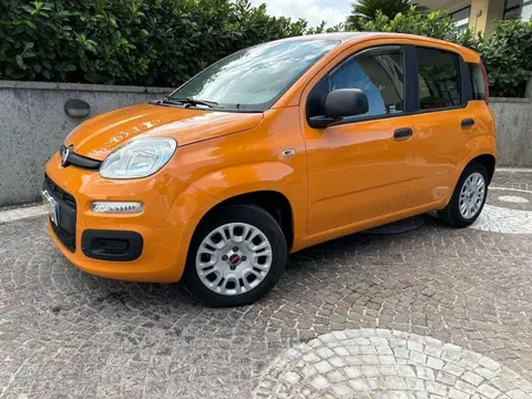 Used FIAT PANDA Petrol 2019 Ad 