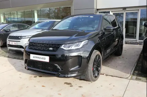 Used LAND ROVER DISCOVERY Hybrid 2023 Ad Belgium