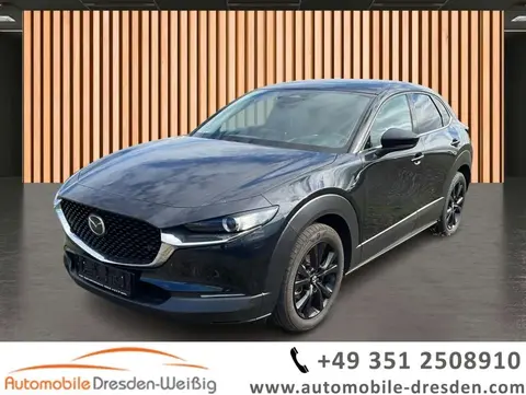 Annonce MAZDA CX-30 Essence 2024 d'occasion Allemagne