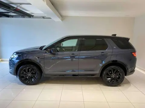 Annonce LAND ROVER DISCOVERY  2024 d'occasion 