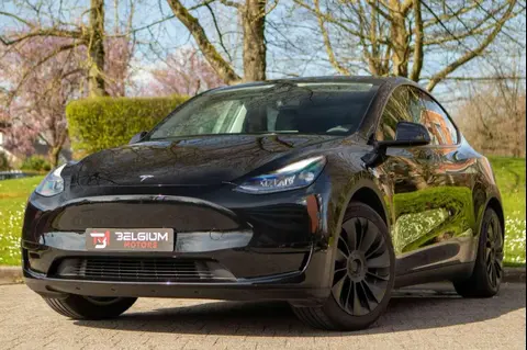 Annonce TESLA MODEL Y Électrique 2023 d'occasion 