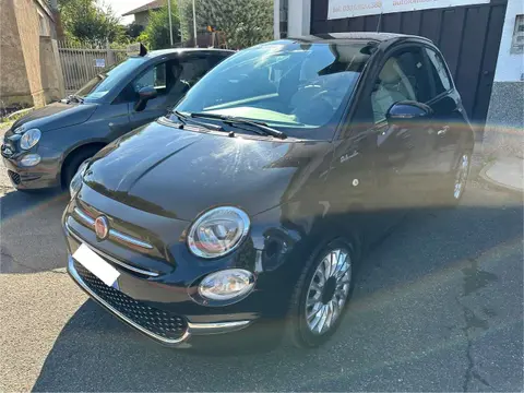 Annonce FIAT 500 Hybride 2021 d'occasion 