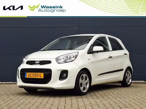 Used KIA PICANTO Petrol 2016 Ad 