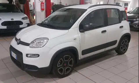 Used FIAT PANDA Hybrid 2022 Ad 