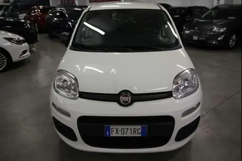 Used FIAT PANDA LPG 2019 Ad 