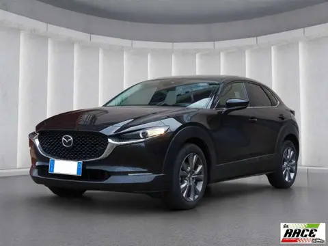 Annonce MAZDA CX-30 Hybride 2023 d'occasion 