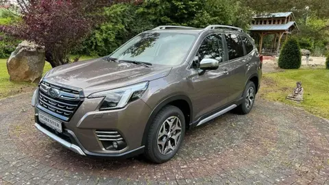 Annonce SUBARU FORESTER Essence 2024 d'occasion 