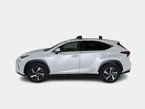 Used LEXUS NX Hybrid 2020 Ad 