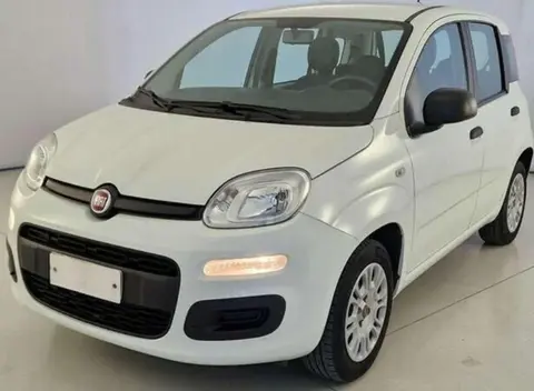 Used FIAT PANDA Petrol 2019 Ad Italy