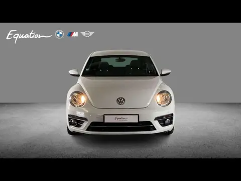 Used VOLKSWAGEN COCCINELLE Diesel 2017 Ad 