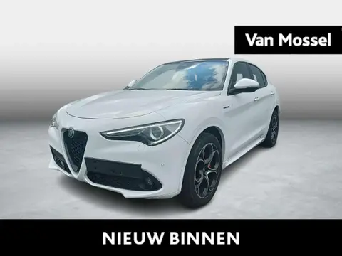 Annonce ALFA ROMEO STELVIO Diesel 2022 d'occasion 