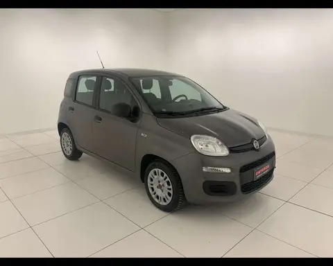 Annonce FIAT PANDA Hybride 2022 d'occasion 