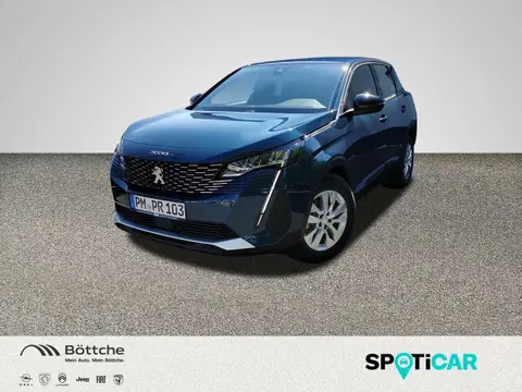 Used PEUGEOT 3008 Petrol 2023 Ad 