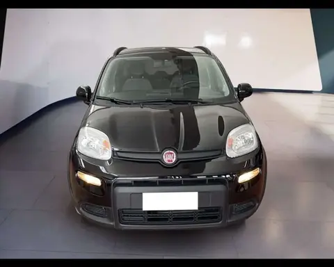 Used FIAT PANDA Hybrid 2022 Ad Italy