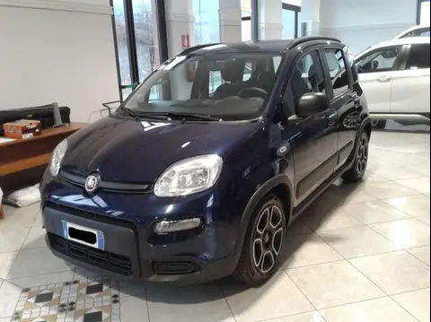 Annonce FIAT PANDA Hybride 2021 d'occasion 