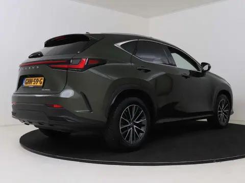 Used LEXUS NX Hybrid 2022 Ad 