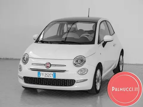 Used FIAT 500 Petrol 2019 Ad 