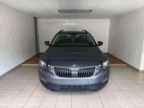 Used SKODA OCTAVIA Petrol 2019 Ad 