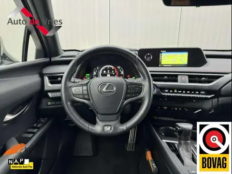 Used LEXUS UX Hybrid 2019 Ad 