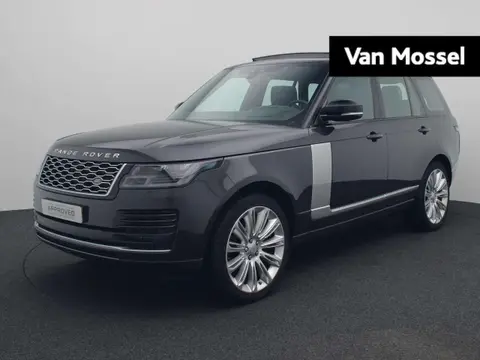 Used LAND ROVER RANGE ROVER Diesel 2018 Ad 