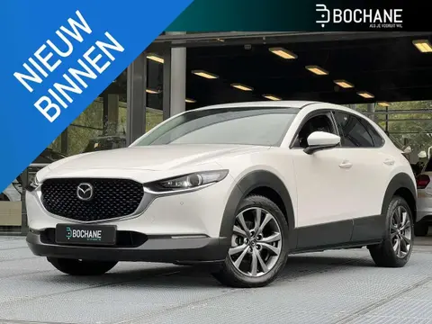 Annonce MAZDA CX-30 Hybride 2020 d'occasion 