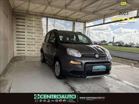 Used FIAT PANDA Hybrid 2023 Ad 