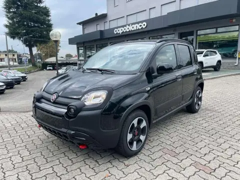 Used FIAT PANDA Hybrid 2024 Ad 