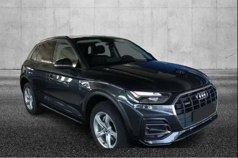 Used AUDI Q5 Hybrid 2022 Ad 