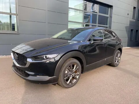 Annonce MAZDA CX-30 Hybride 2024 d'occasion 