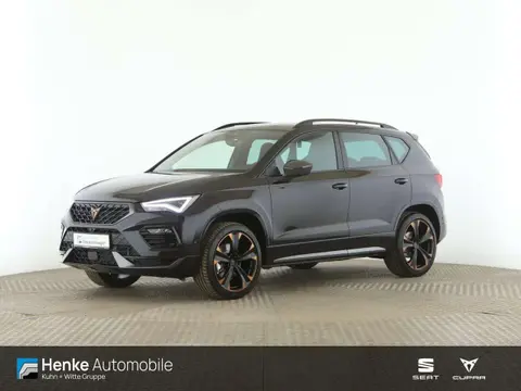 Annonce CUPRA ATECA Essence 2024 d'occasion 