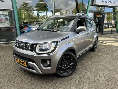 Used SUZUKI IGNIS Hybrid 2020 Ad 