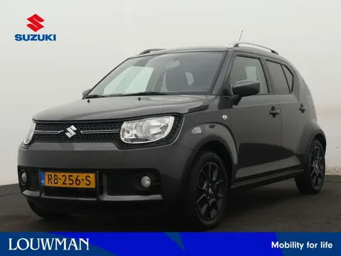 Used SUZUKI IGNIS Petrol 2017 Ad 