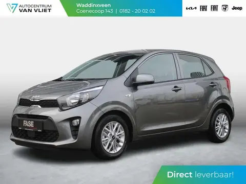 Annonce KIA PICANTO Essence 2024 d'occasion 