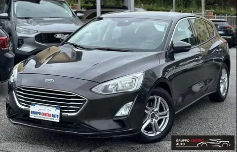 Used FORD FOCUS Petrol 2019 Ad 